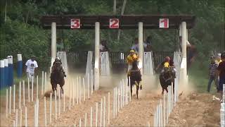 CORRIDA DE CAVALOS ZOLU X VITÓRIA TOLL X CACIQUE [upl. by Annis674]