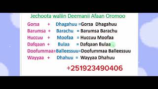 Afaan Oromoo Jechoota waliin Deemanii study Afaan OromooAmharic English letters [upl. by Aramat]