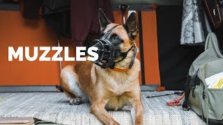 Muzzles  Whats the DIFFERENCE [upl. by Retla]