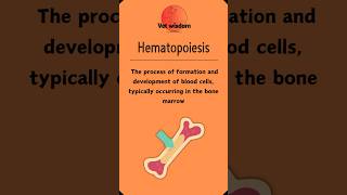 Hematopoiesis Blood Cell Formation Explained [upl. by Heather]