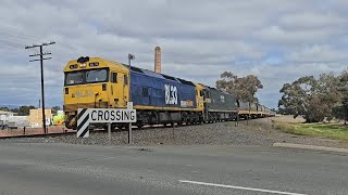 7734V PN loaded grain BL33 G523 Murtoa to Geelong 1103 41124 Stawell VIC [upl. by Eillek]