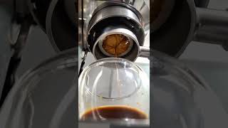 Heres todays coffee shot Day 23 coffee arabica espresso barista coffeelover beginner [upl. by Toms]