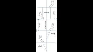 quot GAIT PATTERN ANALYSIS IN PERSPECTIVE OF FORENSIC SCIENCE INVESTIGATION quot [upl. by Anatsirhc]