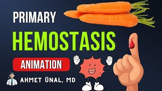 🥧 🥕 WHILE I COOK  Platelet Plug  Primary Hemostasis  Basic Hematologic Physiology Animation [upl. by Wyler]