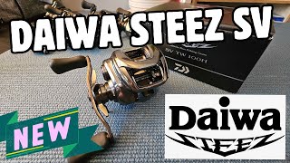 Daiwa Steez SV 2024 FIRST IMPRESSIONS 750 Really [upl. by Alyag265]