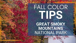 Fall Colors in the Great Smoky Mountains  Tips for an Autumn Visit [upl. by Eceela]