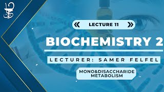 Biochemistry 2 Monosaccharides amp Disaccharides Metabolism [upl. by Milli]