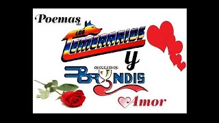 Los Temerarios y Bryndis Poemas de Amor Romanticas [upl. by Ahsen255]