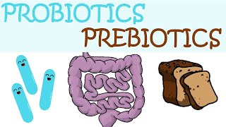 DIFFERENCES BETWEEN PROBIOTICS AND PREBIOTICS [upl. by Obocaj]