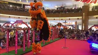 🦁 2️⃣0️⃣2️⃣4️⃣Lion Dance Barongsai at Summarecon Mall Serpong Tangerang Indonesia Part 2 Freestyle [upl. by Keeryt]