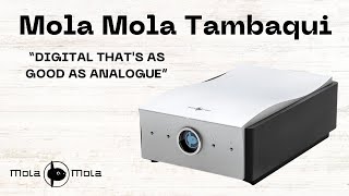 Unboxing the Mola Mola Tambaqui  Listening Matters [upl. by Trahern]