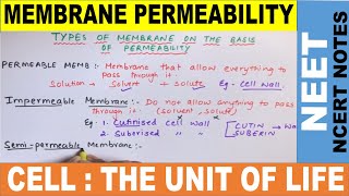 Cell Membrane and Selective Permeability [upl. by Caresa]