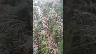 Film 2 Balkan Mountains Ep 28  The trip to Eho hut Mountain nature in Bulgaria [upl. by Yleve254]