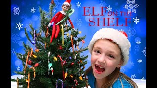 Elf on the Shelf Candy Cane Taste Testing Challenge [upl. by Enyawal987]