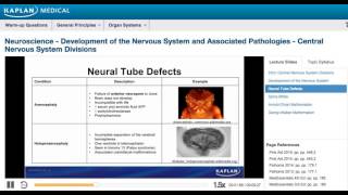 Step 1 High Yield  Neuroscience Central Nervous System Divisions [upl. by Nyltak]