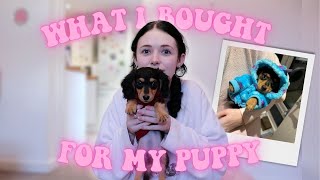 WHAT I BOUGHT MY PUPPY HAUL DOG DIARIES EP 4 [upl. by Jasper]