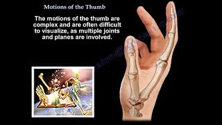 Motions Of The Thumb  Everything You Need To Know  Dr Nabil Ebraheim [upl. by Ruford]