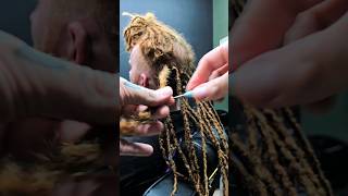 Dread Maintenance Root to Tip with CROCHET HOOK [upl. by Terrie945]