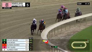 LAUREL PARK 09 13 2024 REPLAY SHOW [upl. by Ahsenod]