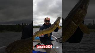 Brochet Laponie 2024 fishing pike peche brochet lapland [upl. by Ruscio]