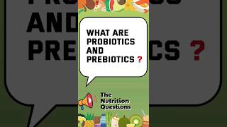 What Are Probiotics And Prebiotics [upl. by Ahens]