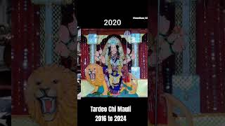 Tardeo Chi Mauli 2016 to 2024 shorts viral ytshorts durgamaa tardeochimauli [upl. by Kushner]