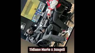 Tidiane Mario ft Jungeli live Tik tok song [upl. by Naesed395]