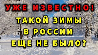 ШОК ЗИМА УДИВИТ ВСЕХ РОССИЯН ПРОГНОЗ ПОГОДЫ В РОССИИ [upl. by Narhet]