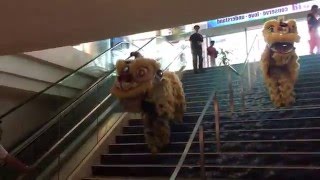 Lion dance at Aquaria KLCC entrance [upl. by Nightingale]