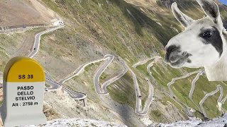 Rides of the Giro dItalia The Stelvio Pass  Worlds Best Climb [upl. by Skylar]