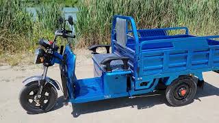 Three Wheel Electric Truck Trike Cargo Vehicle In Black Color [upl. by Ahsikym]