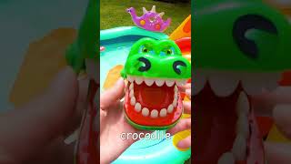 Animal Toy Bounce  Learn Animal Names for Babies Toddlers Kids Tiger Bear Crocodile Tortoise Pig [upl. by Ettenotna]