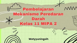 Pembelajaran Mekanisme Peredaran Darah Kelas 11 MIPA 2 [upl. by Neelloj]