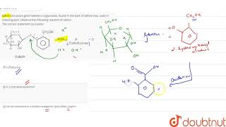 Salicin structure given below is a glycoside found in the bark of willow tree used in relieving [upl. by Mcbride]