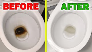 How to Clean a Toilet The Cheap and Natural Way [upl. by Titos]