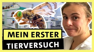 Biologie studieren So ist es wirklich – Zwischen Vorlesung und Mikroskop  alpha Uni [upl. by Jo673]