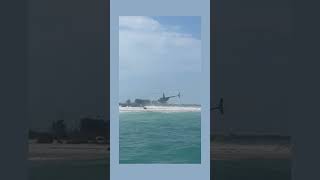 WATCH Man lands helicopter on protected bird nests on Egmont Key [upl. by Porche137]