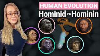 Human Evolution Explained  Hominid amp Hominin Difference [upl. by Atirys]