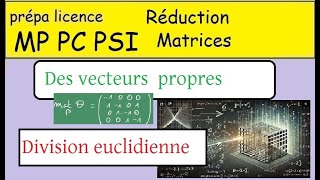 Elements propres des endomorphismes une division euclidienne et ses vecteurs propres [upl. by Purington]