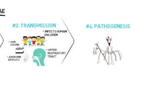 Corynebacterium Diphtheriae [upl. by Annat933]