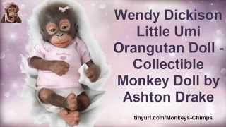 Monkey Baby Doll  Baby Orangutan  Baby Monkeys  Life Like Baby DollsRealistic Baby Dolls Youtube [upl. by Xylia]