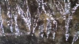 Petroglyphs in Lynco WV [upl. by Noraj]