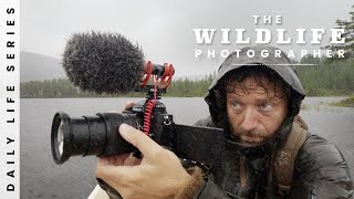 How I got The Impossible Shot  Gear Techniques Bird Photography [upl. by Anivahs]