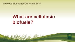 What are cellulosic biofuels [upl. by Ppik]