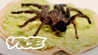 Taco de Insectos  Todos Los Tacos T3  E4 [upl. by Bernstein]