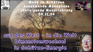 SchützeEnergie  Dimensionswechsel ganz privat  aus der einen Welt in die andere und zurück [upl. by Ainaznat875]