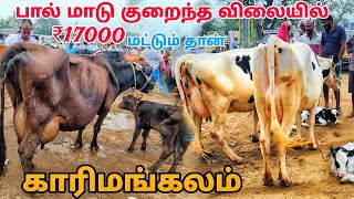 17000 தான் இந்த மாடு காரிமங்கலம் மாட்டு சந்தை தருமபுரி மாவட்டம் tn24sakthivlogs [upl. by Courtney206]