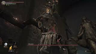 Disgraced Knight Boss Fight in Dark Souls 3 Archthrones Mod Demo [upl. by Llerahc]