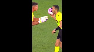 VAR NÃO CHAMOU JOGADORES DO INTER PEDEM PÊNALTI  INTERNACIONAL X FLAMENGO  shorts  geglobo [upl. by Lizabeth]