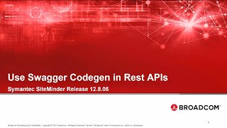 Support for Swagger Codegen in REST APIs [upl. by Franciscka]